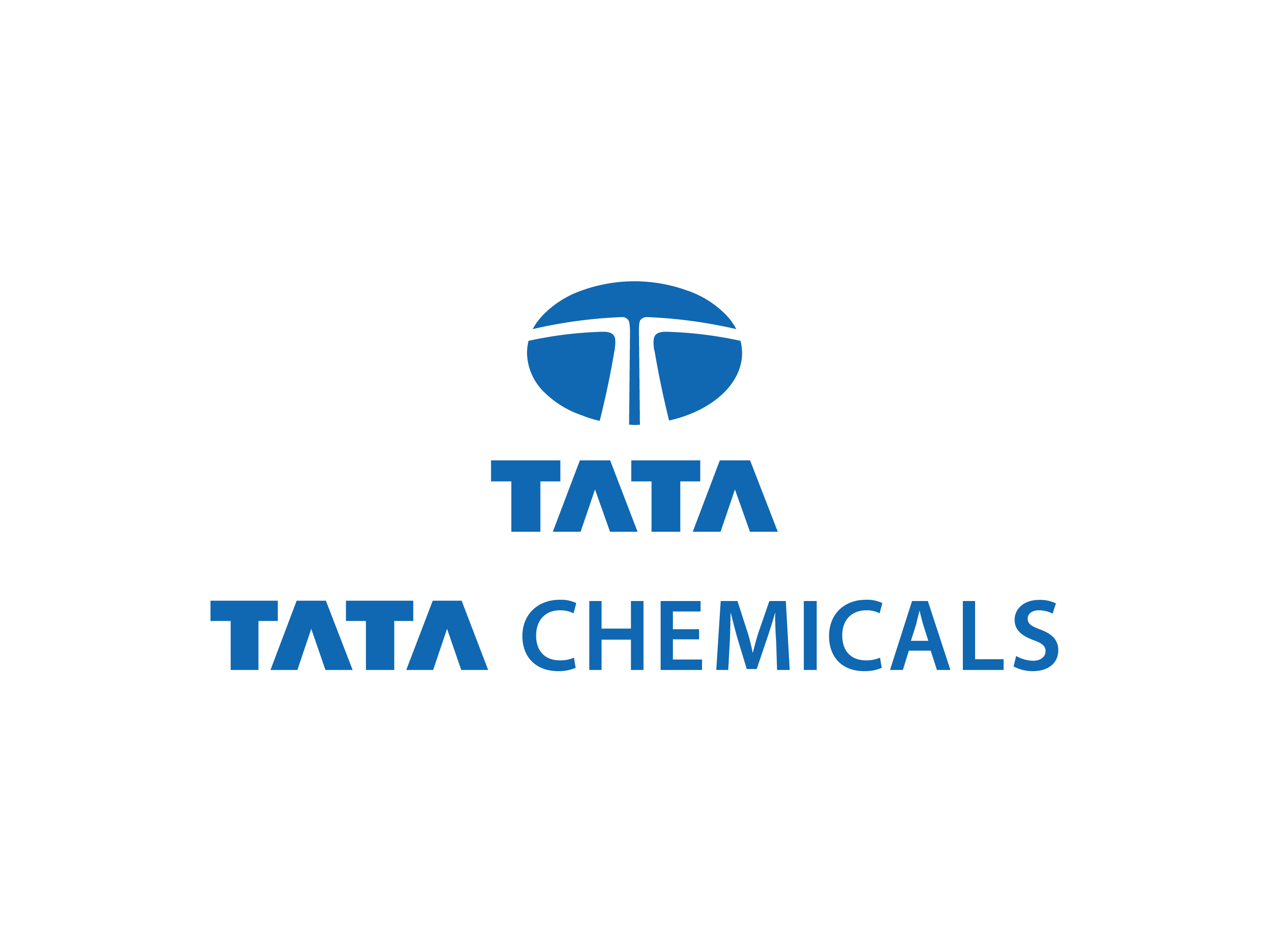 TATA  Chemicals : Brand Short Description Type Here.